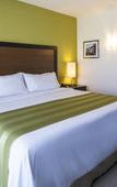 Туры в отель Holiday Inn Express Xalapa by IHG Туры в отель Holiday Inn Express Xalapa by IHG