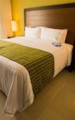 Туры в отель Holiday Inn Express Xalapa by IHG Туры в отель Holiday Inn Express Xalapa by IHG