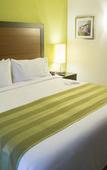 Туры в отель Holiday Inn Express Xalapa by IHG Туры в отель Holiday Inn Express Xalapa by IHG