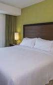 Туры в отель Holiday Inn Express Xalapa by IHG Туры в отель Holiday Inn Express Xalapa by IHG