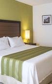 Туры в отель Holiday Inn Express Xalapa by IHG Туры в отель Holiday Inn Express Xalapa by IHG