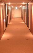 Туры в отель Toyo Hotel Туры в отель Toyo Hotel
