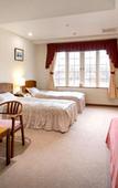 Туры в отель Hotel Green Plaza Hakuba Туры в отель Hotel Green Plaza Hakuba