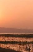 Туры в отель The Serai Kabini Туры в отель The Serai Kabini