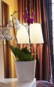 Туры в отель La Villetta Suite Туры в отель La Villetta Suite