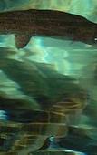 Туры в отель Hotel des Deux Forts Туры в отель Hotel des Deux Forts