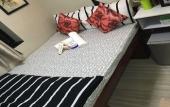 Туры в отель Hotel Skycity Туры в отель Hotel Skycity
