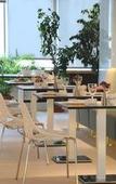 Туры в отель No19 Boutique Hotel Туры в отель No19 Boutique Hotel