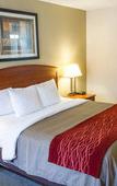 Туры в отель Comfort Inn Hastings Туры в отель Comfort Inn Hastings