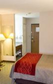 Туры в отель Comfort Inn Hastings Туры в отель Comfort Inn Hastings