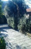 Туры в отель Chalet Lidia Туры в отель Chalet Lidia