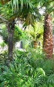 Туры в отель Nice Hotel Туры в отель Nice Hotel
