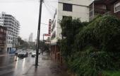 Туры в отель Edgecliff Lodge Motel Туры в отель Edgecliff Lodge Motel