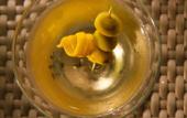 Туры в отель The Harvest Hotel managed by HII Туры в отель The Harvest Hotel managed by HII