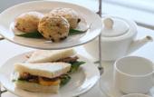 Туры в отель The Harvest Hotel managed by HII Туры в отель The Harvest Hotel managed by HII
