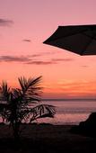 Туры в отель La Laanta Hideaway Resort Туры в отель La Laanta Hideaway Resort