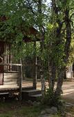Туры в отель Tankavaara Gold Village Туры в отель Tankavaara Gold Village