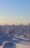 Туры в отель Tankavaara Gold Village Туры в отель Tankavaara Gold Village