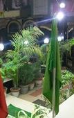 Туры в отель Hotel Viraat Inn Туры в отель Hotel Viraat Inn