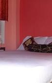 Туры в отель Hotel Viraat Inn Туры в отель Hotel Viraat Inn