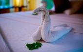 Туры в отель Yala Safari Camping Туры в отель Yala Safari Camping
