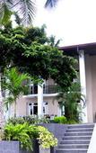 Туры в отель Grand 7 Hotel - Thalawathugoda Туры в отель Grand 7 Hotel - Thalawathugoda