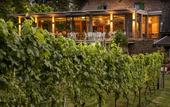Туры в отель Hotel Winselerhof by Flow Туры в отель Hotel Winselerhof by Flow