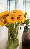 Туры в отель A Place - Boutique Hotel Emile Туры в отель A Place - Boutique Hotel Emile