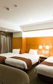 Туры в отель Meitetsu Grand Hotel Туры в отель Meitetsu Grand Hotel