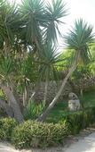 Туры в отель B&B Villa Francesco Туры в отель B&B Villa Francesco
