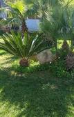 Туры в отель B&B Villa Francesco Туры в отель B&B Villa Francesco