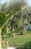 Туры в отель B&B Villa Francesco Туры в отель B&B Villa Francesco