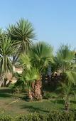 Туры в отель B&B Villa Francesco Туры в отель B&B Villa Francesco