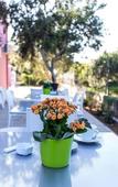 Туры в отель Miss Sicily B&B Туры в отель Miss Sicily B&B