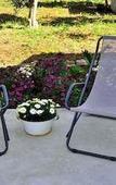 Туры в отель Miss Sicily B&B Туры в отель Miss Sicily B&B