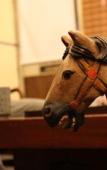 Туры в отель Bamba Hotel Tokyo-Private Townhouse- Туры в отель Bamba Hotel Tokyo-Private Townhouse-
