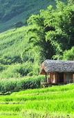 Туры в отель Eco Palms House - Sapa Retreat Туры в отель Eco Palms House - Sapa Retreat