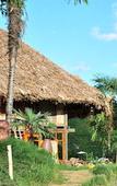 Туры в отель Eco Palms House - Sapa Retreat Туры в отель Eco Palms House - Sapa Retreat