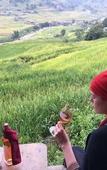 Туры в отель Eco Palms House - Sapa Retreat Туры в отель Eco Palms House - Sapa Retreat