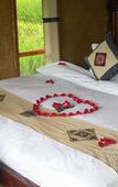 Туры в отель Eco Palms House - Sapa Retreat Туры в отель Eco Palms House - Sapa Retreat
