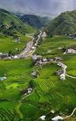 Туры в отель Eco Palms House - Sapa Retreat Туры в отель Eco Palms House - Sapa Retreat