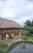 Туры в отель Eco Palms House - Sapa Retreat Туры в отель Eco Palms House - Sapa Retreat