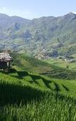 Туры в отель Eco Palms House - Sapa Retreat Туры в отель Eco Palms House - Sapa Retreat