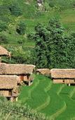 Туры в отель Eco Palms House - Sapa Retreat Туры в отель Eco Palms House - Sapa Retreat