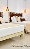 Туры в отель Unic Design Hotel - Near Mamitas Beach Club Туры в отель Unic Design Hotel - Near Mamitas Beach Club