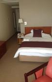 Туры в отель Okayama Plaza Hotel Туры в отель Okayama Plaza Hotel
