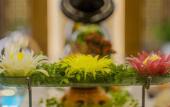 Туры в отель Muong Thanh Luxury Nhat Le Hotel Туры в отель Muong Thanh Luxury Nhat Le Hotel