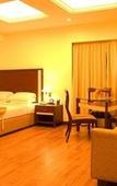 Туры в отель The Residency Karur Туры в отель The Residency Karur