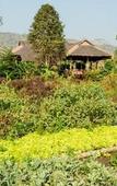 Туры в отель Lisu Lodge Туры в отель Lisu Lodge