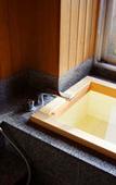 Туры в отель Gero Onsen Yukyunohana Туры в отель Gero Onsen Yukyunohana
